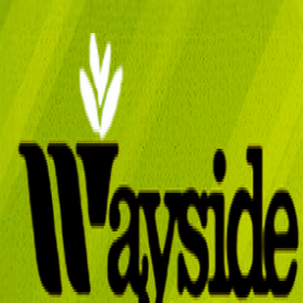 Landscaping Services, Landscaping & Lawn Services, Landscaping Contractors Rochester, NY 