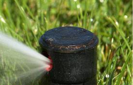 D&M Landscape Maintenance Inc