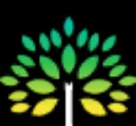 Black Forest Tree Service - Tree Care Experts in Sydney